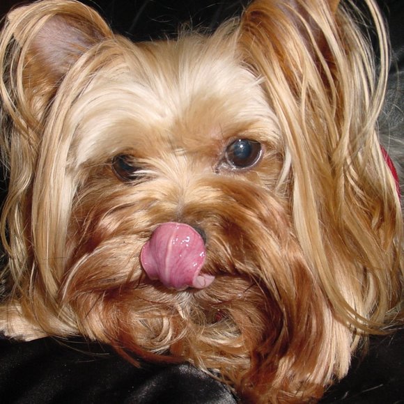 Meet Your Posher - Picture 3 of 3